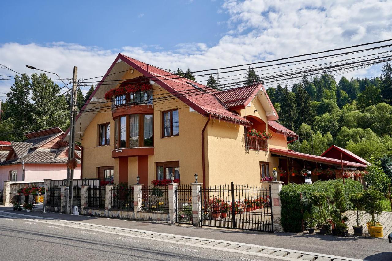 Casa Cu Flori Moisei 호텔 외부 사진